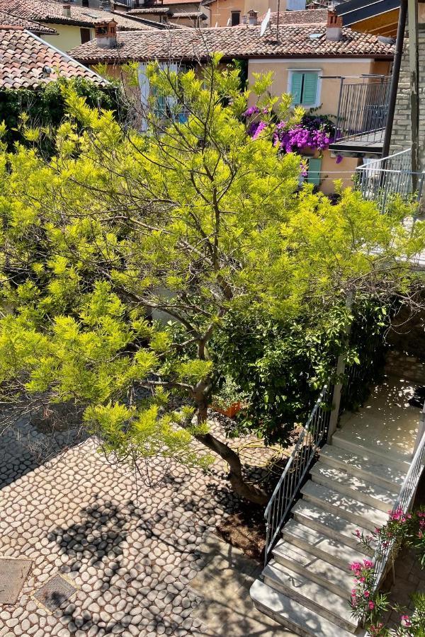 Borgo Dei Sogni Apartment ซานเฟลีเช เดล เบนาโก ภายนอก รูปภาพ