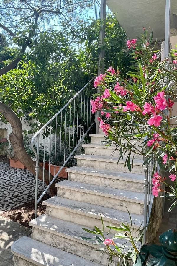 Borgo Dei Sogni Apartment ซานเฟลีเช เดล เบนาโก ภายนอก รูปภาพ