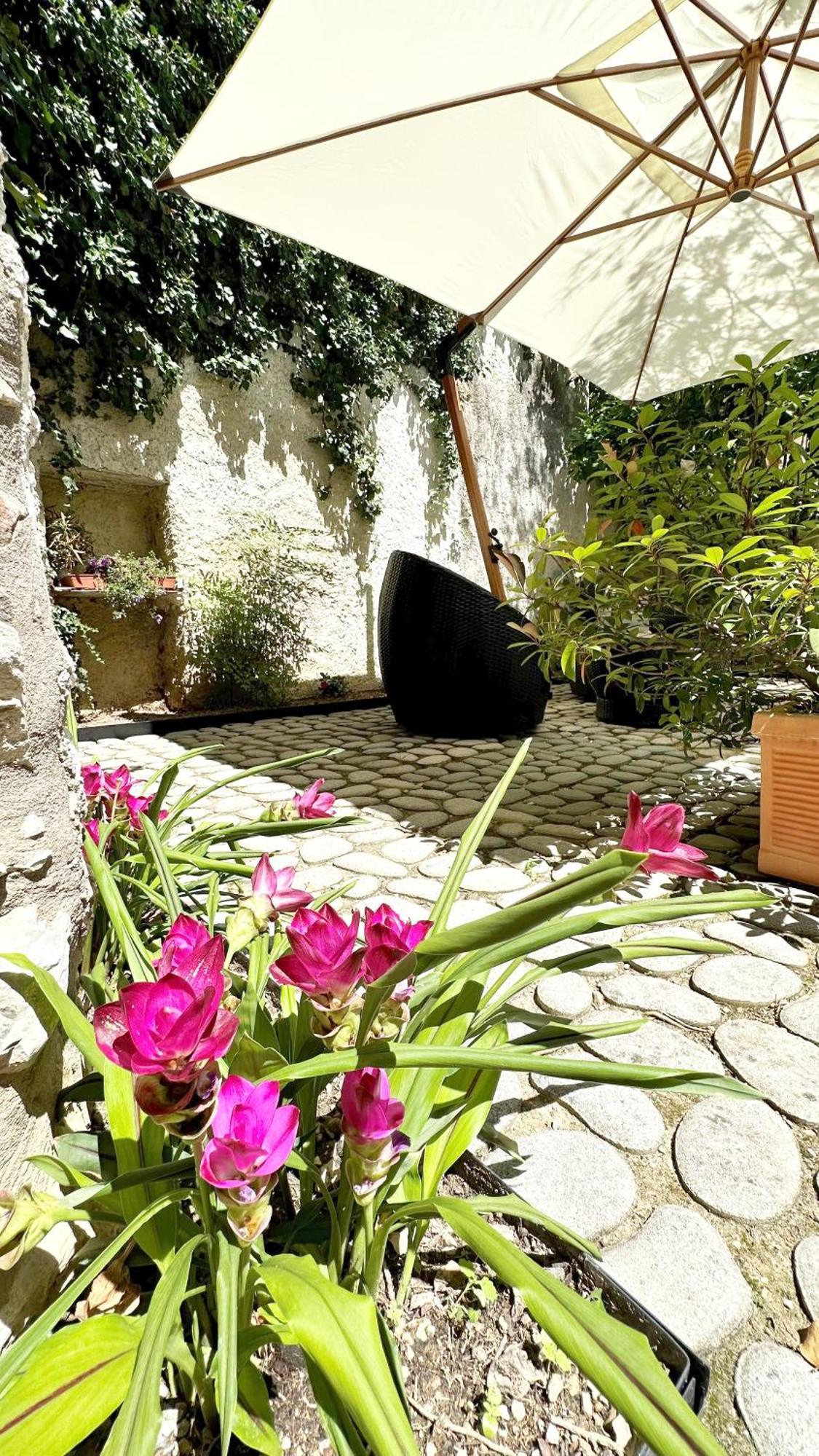 Borgo Dei Sogni Apartment ซานเฟลีเช เดล เบนาโก ภายนอก รูปภาพ